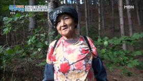 젊은 사람도 올라가기 힘든 높은 나무!!