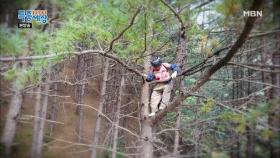 나무 위에 위태롭게 서 있는 사람은!??