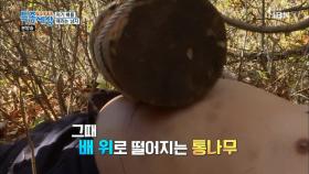 타이어로 모자라 이젠 통나무까지 동원??