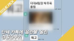 여경도 있는 단체 카톡에 '음란물' 유포한 경찰간부?! [단독]