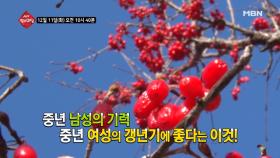 생생 정보마당 289회 - 활력 충전 화요일