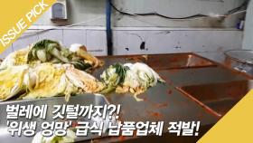 벌레에 깃털까지 나왔다?! '위생 엉망' 학교급식 납품업체 적발