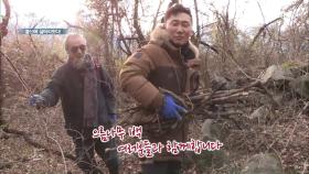 자연인 표 2018F/W 컬렉션! 으름덩굴 백 & 송담 백!