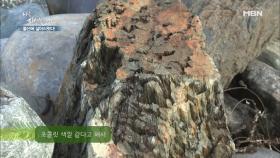 쪼꼬(?) 색 같아서 쪼꼬(?)석, 호랑이 털가죽 같다고 해서 호피?