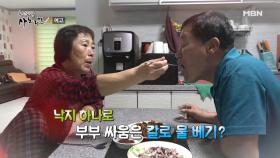 고파도 부부의 당신은 내 운명