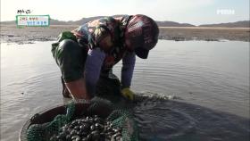 바지락이 쌓이는 만큼 같이 쌓여가는 서운함!