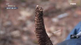 산에서 하는 보물찾기? (feat. 단풍마)