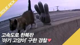 고속도로 한복판 '아기 고양이' 구한 경찰♥