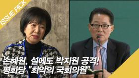 손혜원, 설에도 박지원 공격! 평화당 ＂최악의 국회의원＂