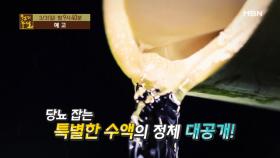 몸속 가뭄을 날려줄 건강 오아시스, 수액!