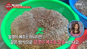 알갱이 메주 숙성 비법은 황토 방?