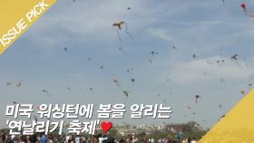 미국 워싱턴에 봄을 알리는 '연날리기 축제'♥