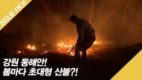 강원 동해안! 봄마다 초대형 산불?!