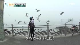[선공개] 류진. 예능신 강림! 갈매기와의 환상 호흡 (이거 실화?)