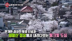 363회-유쾌한 월요일