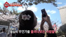 사랑이 꽃 피는 창원 봄꽃 여행