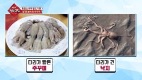 주꾸미와 낙지의 헷갈리는 자태