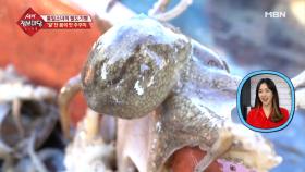 넘치는 힘! 쫙쫙~ 다리 뻗는 봄 주꾸미~!!