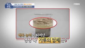 하루 단 1g으로 몸속 중성지방을 빼 준 신비의 가루?