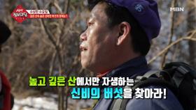 깊은 산속 숨은 신비한 버섯의 정체는?!