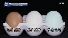 천차만별의 색을 지닌 달걀이 있다?