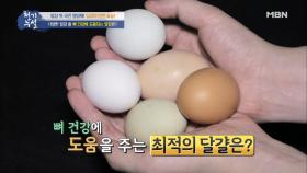 뼈 건강에 최적인 달걀이 있다?