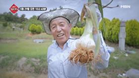 생생 정보마당 398회- 실속 있는 수요일