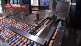 유정란으로 연 매출 15억원!