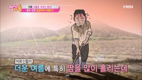 겨울 뇌졸중보다 여름 뇌졸중이 더 위험한 이유는?