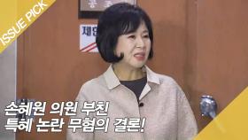 손혜원 의원 부친 특혜 논란 무혐의 결론!