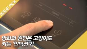 방화의 원인은 고양이도 켜는 '인덕션'?!