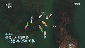 (유포금지) 숨겨진 국내 서핑 스폿에서 배우들의 서핑 타임.avi