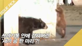 쓰레기통 안에 갇혀버린 '새끼 곰 한 마리'?!