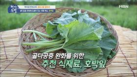 골다공증 완화에 도움이 되는 제철 채소 호박잎! 맛있는 호박잎 한 쌈으로 건강을 챙긴다!