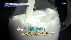 우리가 몰랐던 우유의 효능! 우유가 다이어트에 도움이 된다?