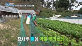 오직 건강만을 위한 남자의 유기농법