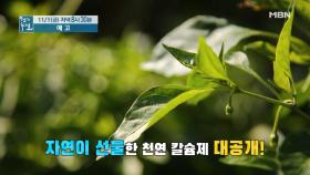 가을 건강 보감 알아야 산다! 약의 불편한 진실