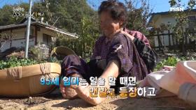 95세 맨발 엄마의 아프지 마 내 딸!