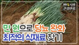 '만 원'으로 당뇨 완화 최적의 식재료 찾기?!