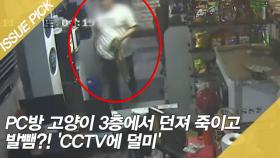 PC방 고양이 3층에서 던져 죽이고 발뺌?! 'CCTV에 덜미'