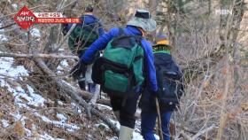 겨울철 얼어붙은 산 속에서 찾는 수상한 약초의 정체는?