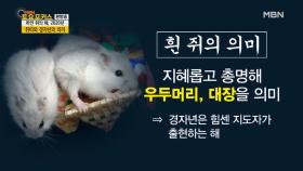 쥐띠와 경자년의 의미?!