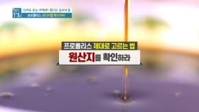 만성 염증 억제 돕는 프로폴리스! 프로폴리스에 대한 궁금증 전격 타파!