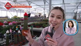 식물이 가득한 여기는 어디?