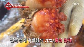 해산물 천국! 통영의 HOT한 것?