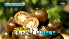 심혈관 건강에 좋은 최고의 토마토가 있다? 귀족 토마토를 찾아라!