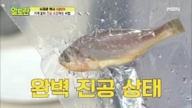 ※대박※ 기계없이 생물 생선 진공 포장이 가능하다고??