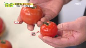 멋쟁이 토마토~ 보기 좋은 ＜토마토＞가 맛도 있다?!