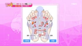 조선 왕실에서도 이용되었던 ＜발 반사구＞