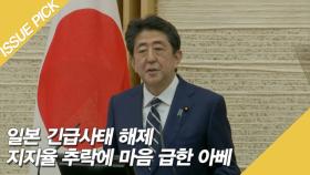 일본 긴급사태 해제 지지율 추락에 마음 급한 아베